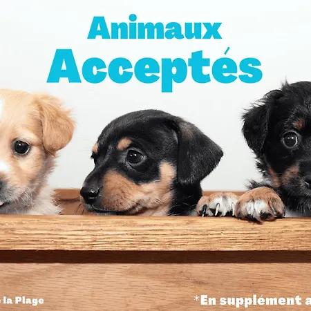 Apartamento Bel 2 En Front De + Terrasse Et Garage Prive - Fr-1-323-324